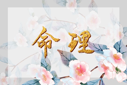 日历网 日历全年黄道吉日查询 2026日历全年黄道吉日查询